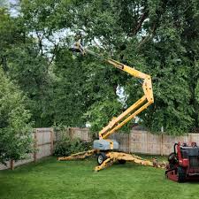 Best Tree Trimming and Pruning  in South Portland, ME